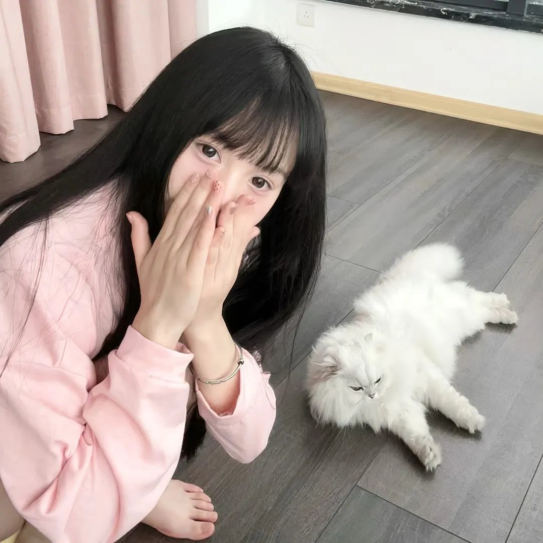 与鲸共舞第一季